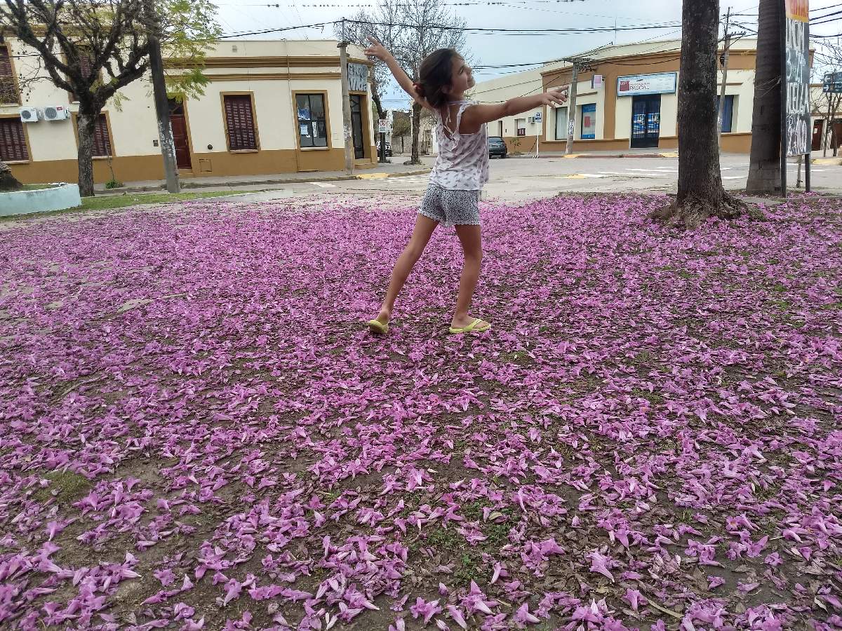 EN AGOSTO, FLORECE EL LAPACHO...PICA EL DORADO