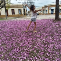 EN AGOSTO, FLORECE EL LAPACHO...PICA EL DORADO